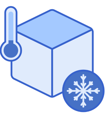 Congélation des objets à -20°C pour éliminer les punaises de lit