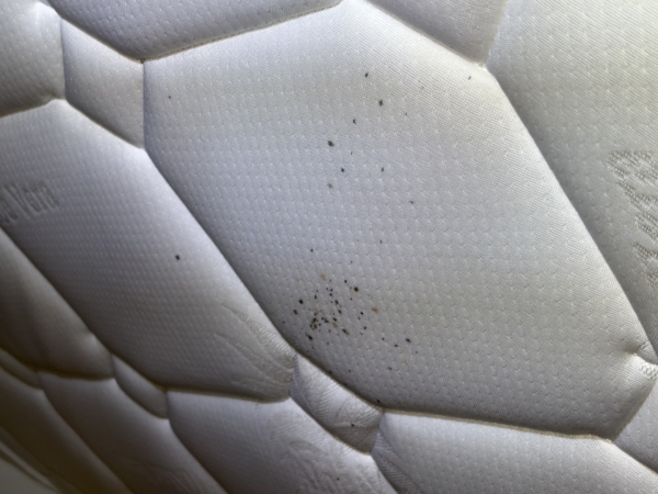 Traces noires sur un matelas blanc, signes d'une infestation de punaises de lit