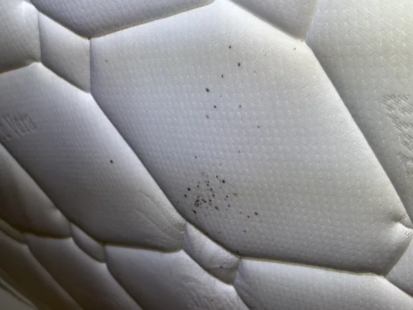 Indices de présence de punaises de lit sur un matelas : excréments visibles Traces noires sur un matelas blanc, signes d'une infestation de punaises de lit