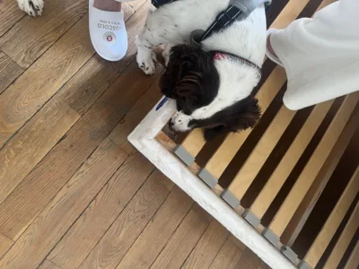 Photo 17 05 2024 14 02 41