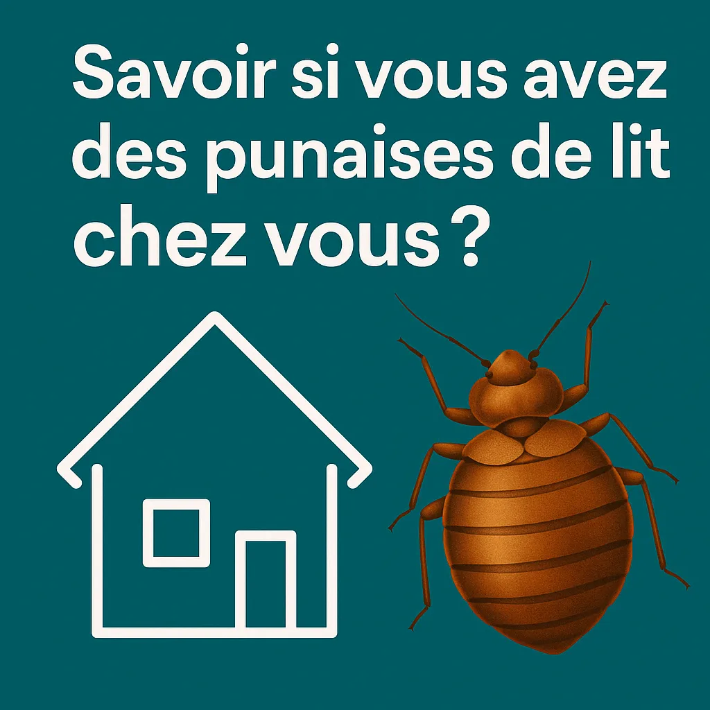 savoir si vous avez des punaises de lit chez vous