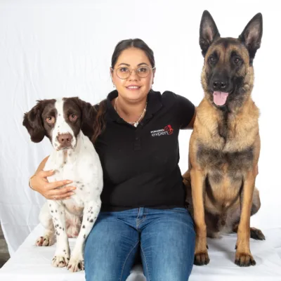 Détection canine Punaises Expert Présentation des chiens de chez Punaises Expert avec une professionnel