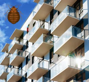 Punaise de lit dans les immeubles