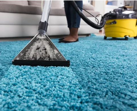 Utiliser la vapeur sur les moquettes et tapis pour limiter les risques de punaises de lit Nettoyage vapeur professionnel d’un tapis pour désinfection contre les punaises de lit