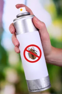 Spray anti-punaises de lit – Insecticide en aérosol pour traitement rapide Aérosol insecticide contre les punaises de lit tenu à la main