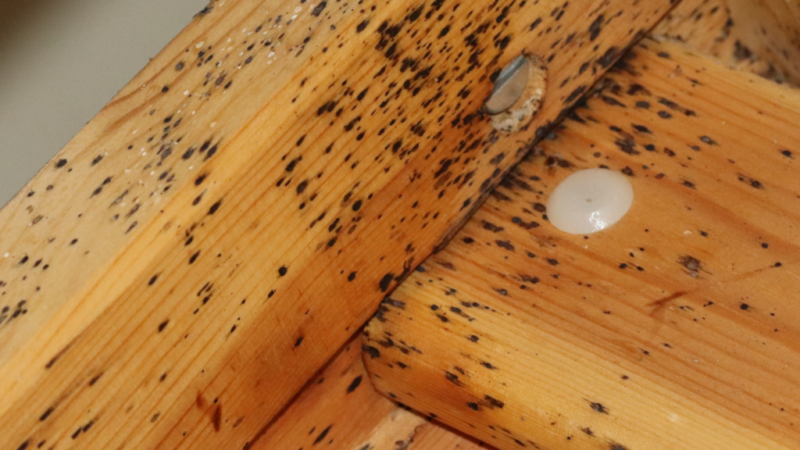 Traces noires sur une structure en bois infestée par des punaises de lit