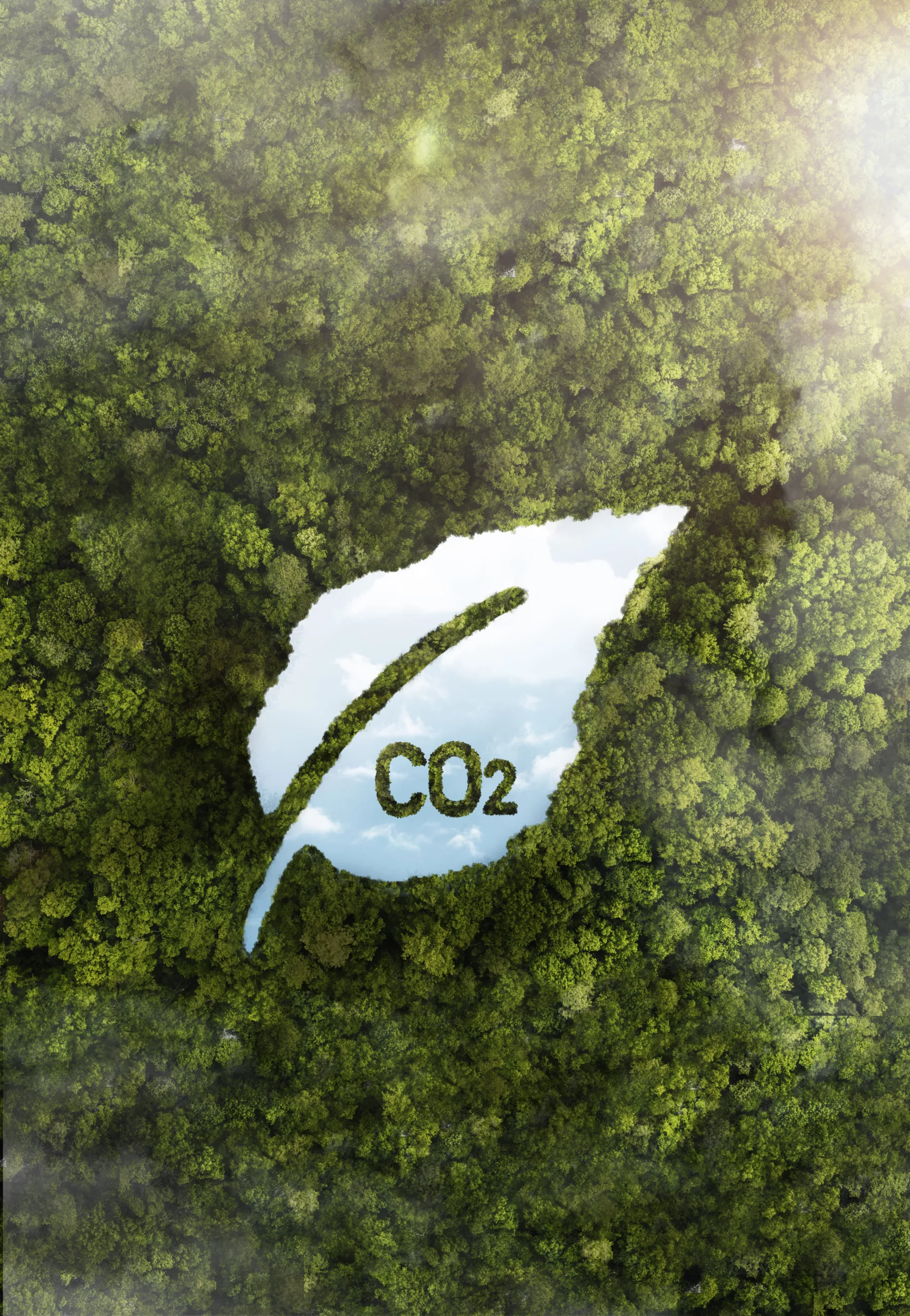 CO2 CO2