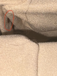 Punaise de lit cachée Punaise de lit cachée