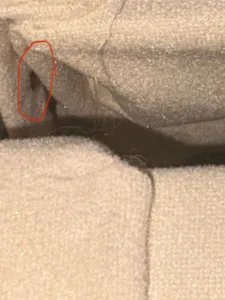 Punaise de lit cachée Punaise de lit cachée